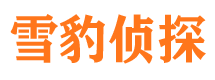 芷江市婚外情调查